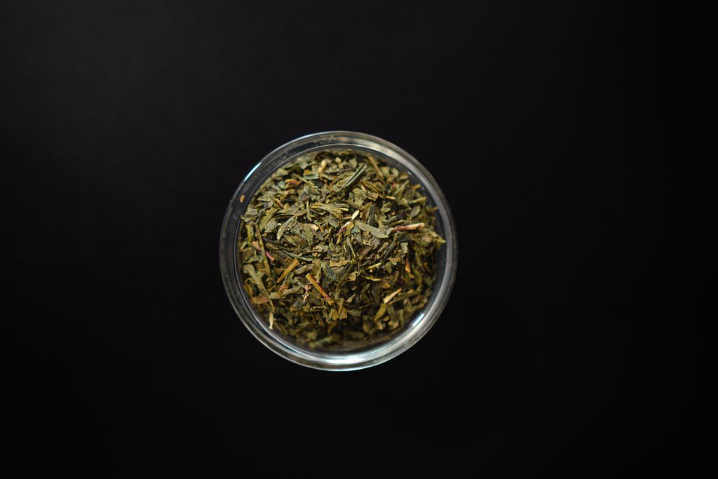 SENCHA